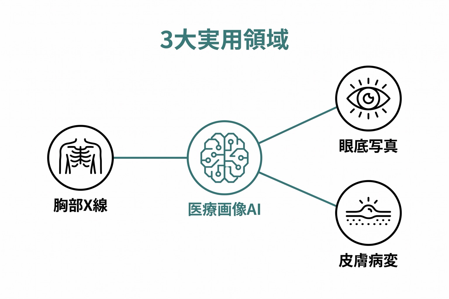 胸部X線・眼底写真・皮膚病変の3つの実用領域を中心ハブから放射状に示し、各領域の対象疾患名を添えたハブアンドスポーク図