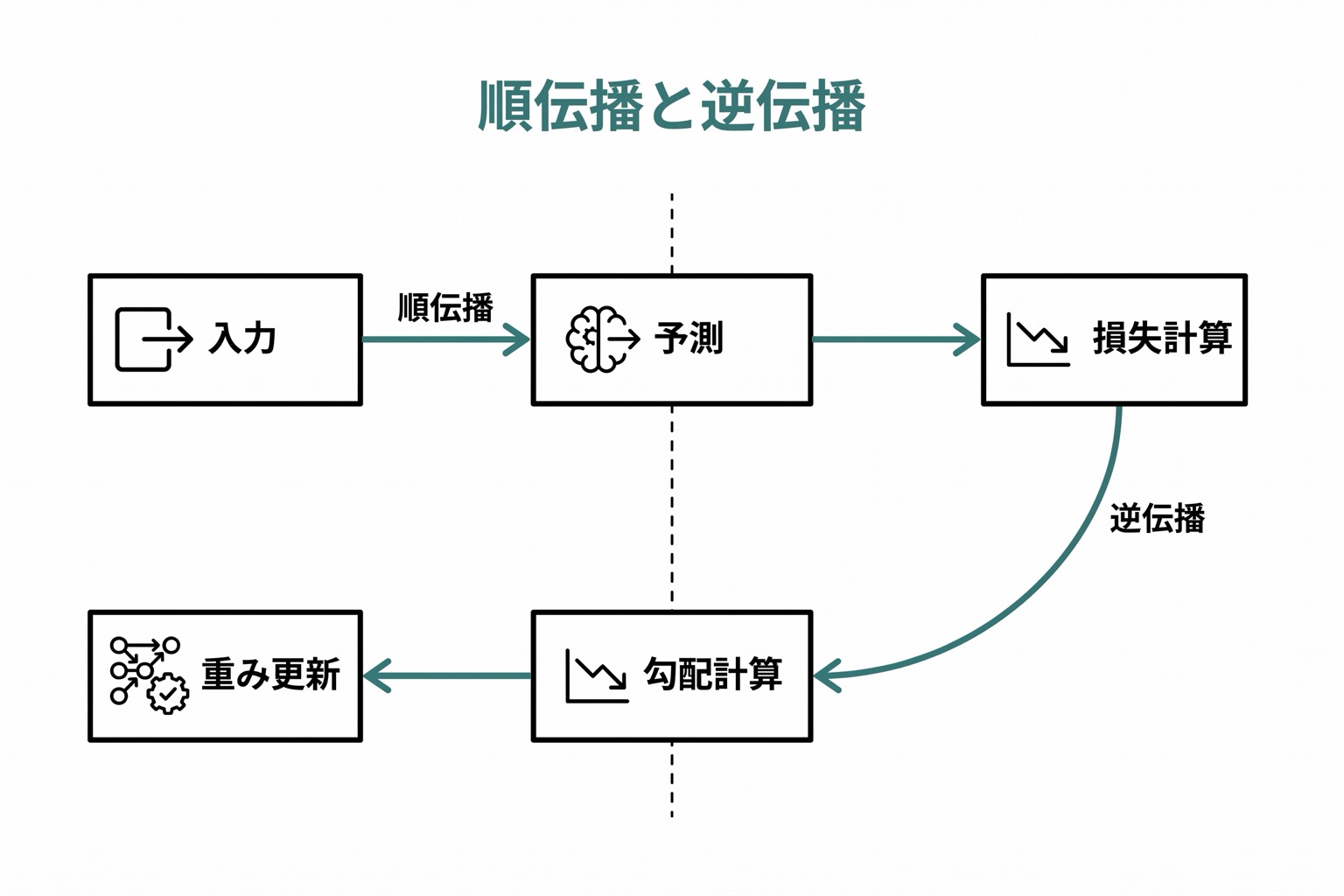 順伝播（入力→予測）と逆伝播（損失→重み更新）が左右の双方向矢印で示された学習サイクル図