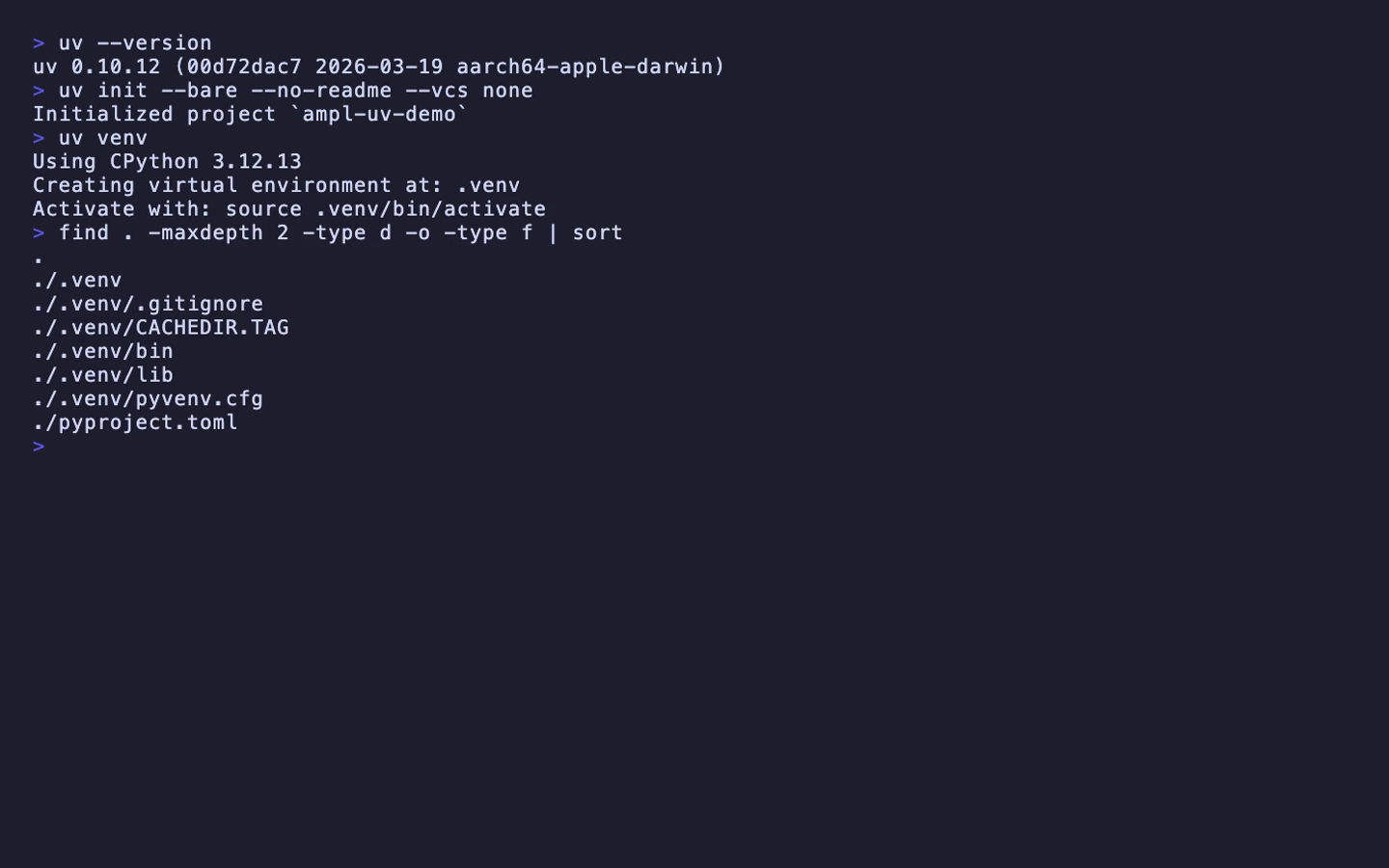 find コマンドで .venv、.venv/bin、.venv/lib、pyproject.toml が表示されている画面