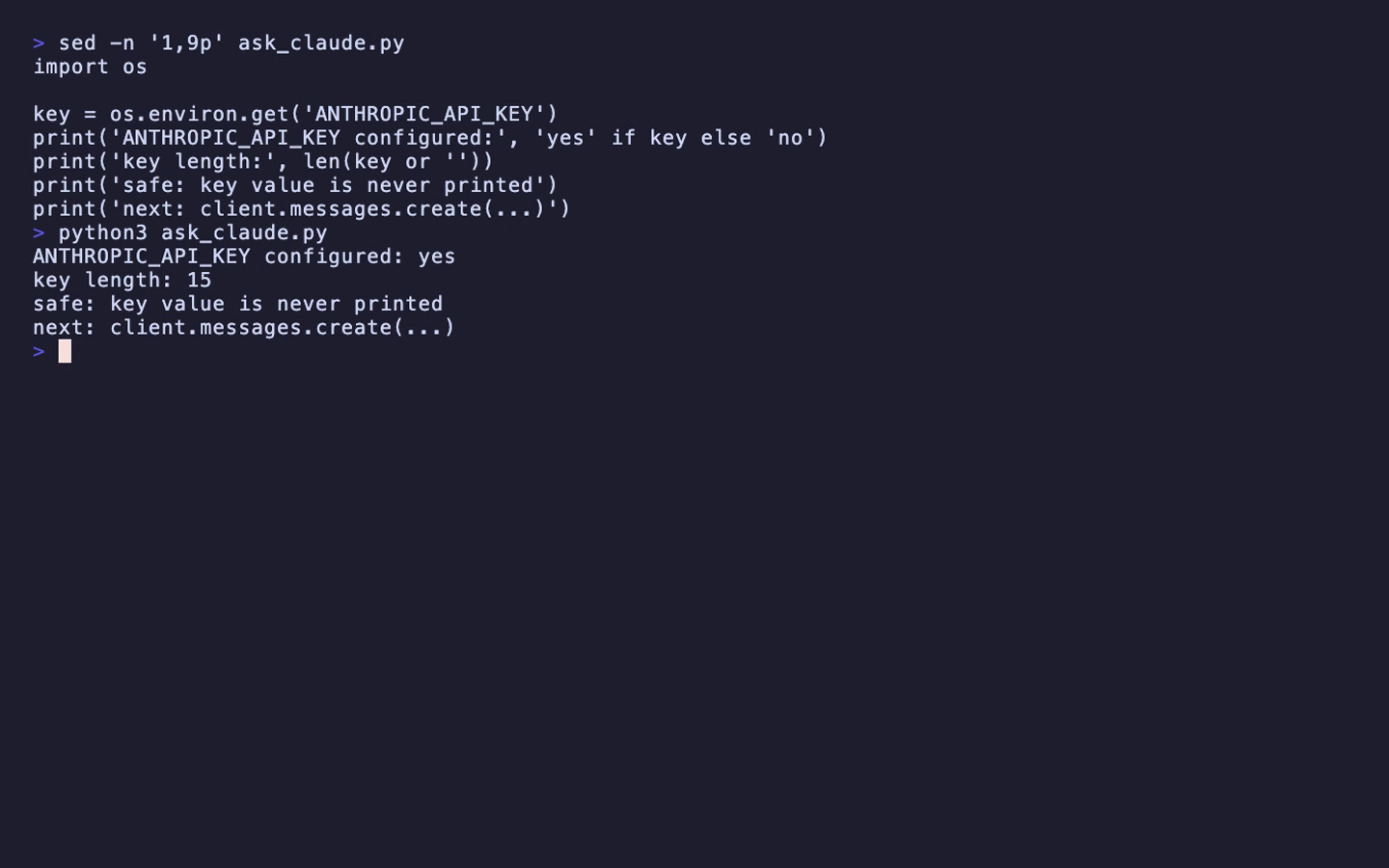 ターミナルで ANTHROPIC_API_KEY の存在確認を行い、キー値は表示していない画面