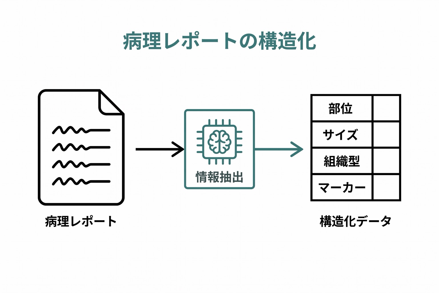 非構造化の病理レポート文書がLLMの情報抽出を経て、部位・サイズ・組織型・マーカーの構造化データ表に変換されるフロー図