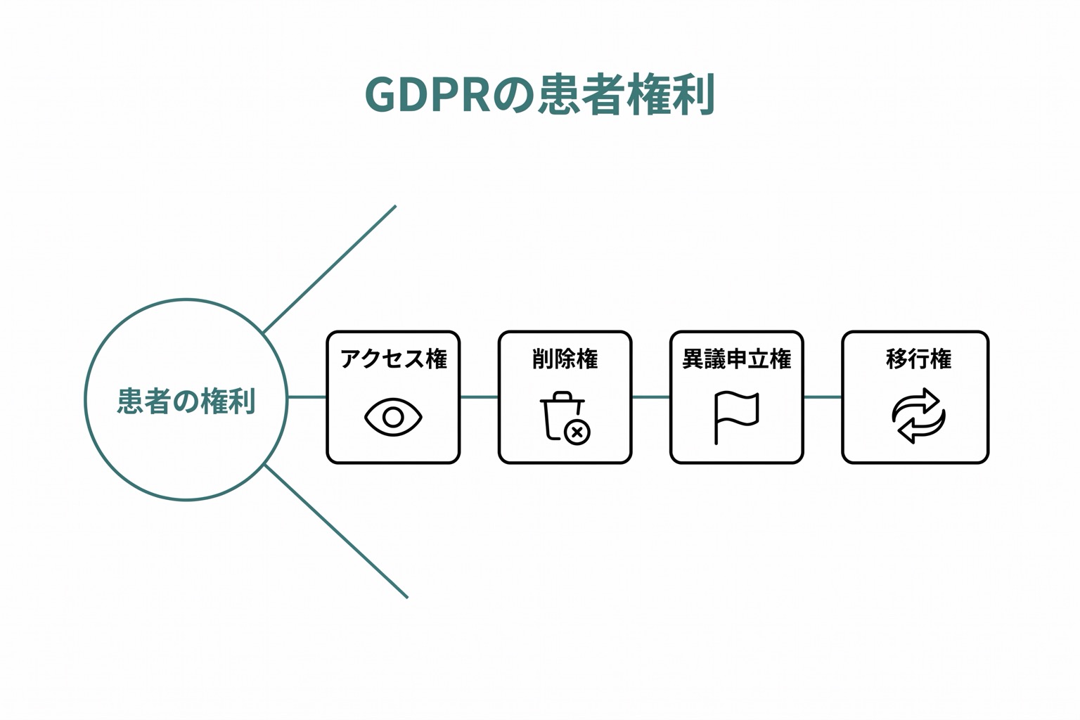 GDPRが患者に付与する4つの権利(アクセス権・削除権・異議申立権・ポータビリティ権)を中心から放射するスポーク図で表した図。